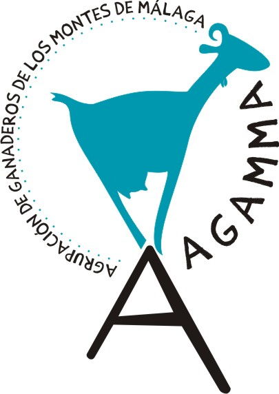 agamma